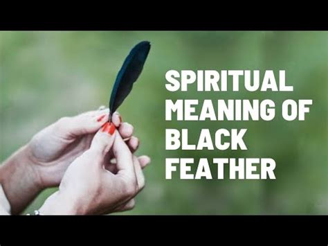 |Spiritual Meaning Of Black Feathers|. - YouTube