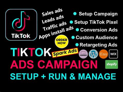 Setup Tik Tok Ads Campaign Tik Tok Video Ads Tik Tok Ads Manager Upwork