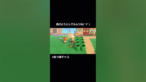 あつ森 あた森😎🎤明日も見てくれるかなっ？ どうぶつの森 Acnh あつ森チャコ Youtube