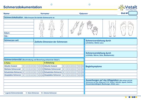 Schmerzdokumentation In Der Pflege Vistalt
