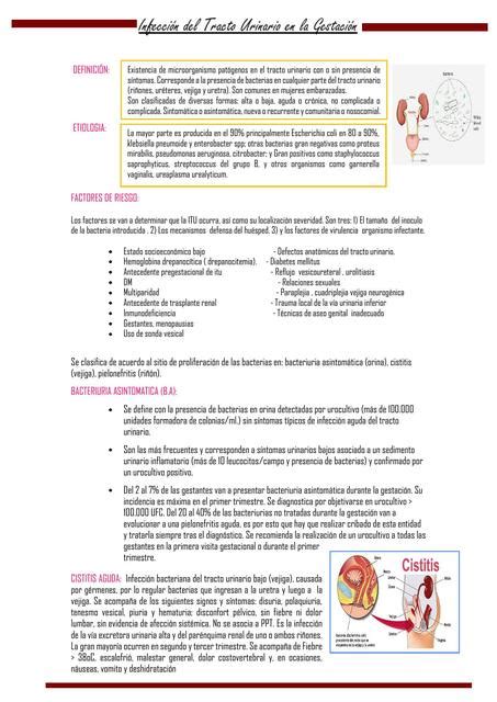 Infecci N Del Tracto Urinario En La Gestaci N Luna Udocz