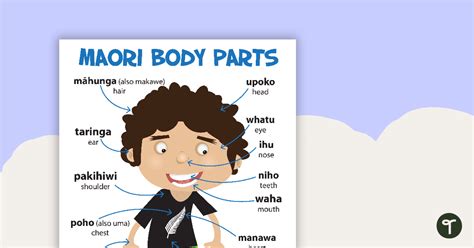 Body Parts In Maori Poster Teach Starter