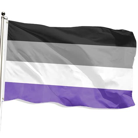 Waterproof Vinyl Decal Sexual Identity Lgbtq Pride Asexual Flag Sticker