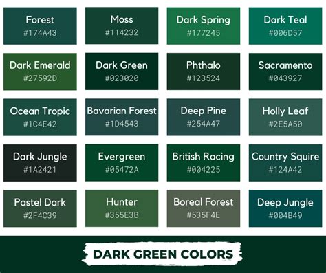 Dark Green Color: Meaning, Shades, and Color Codes