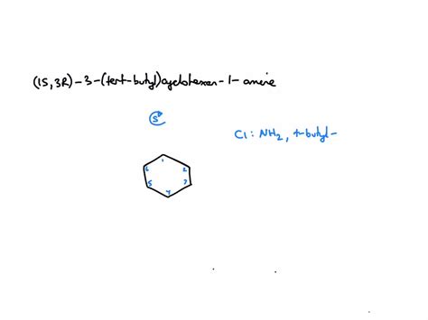 Solved Draw The Structure Of S R Tert Butyl Cyclohexan Amine