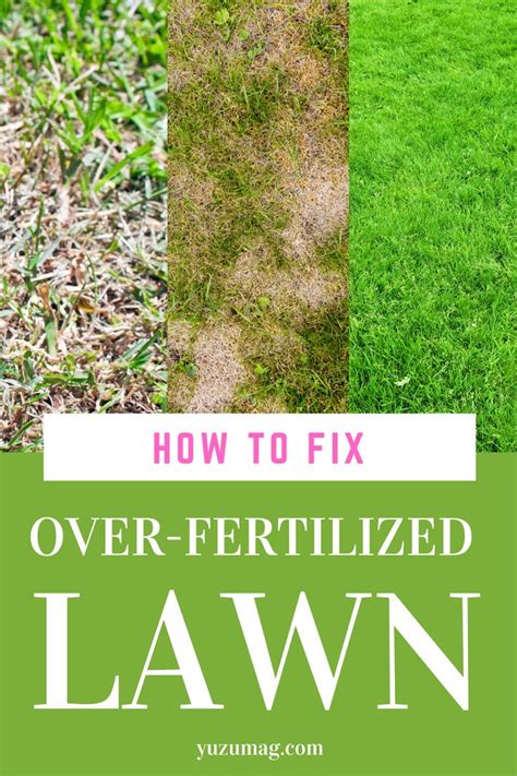 How To Fix An Over Fertilized Lawn