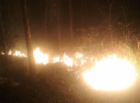 1 Hektare Hutan Jati Semin Gunungkidul Terbakar Butuh Waktu 3 Jam