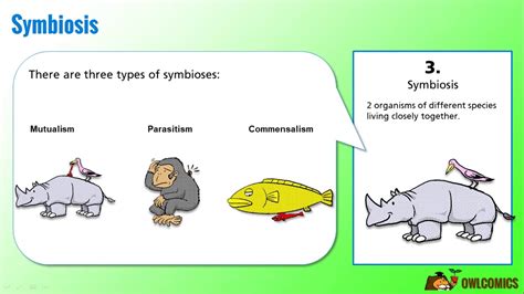 Explain The Three Types Of Symbiosis