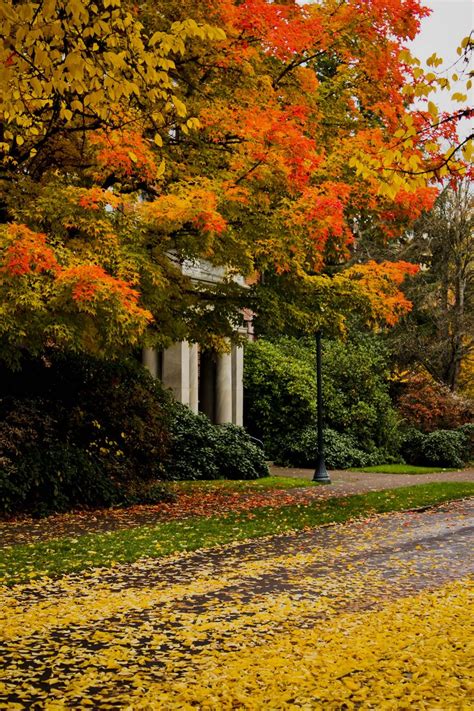 On Assignment | Photographer’s Choice–Fall at Oregon State University ...