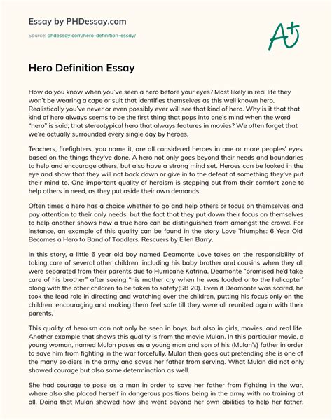 Hero Definition Essay Example