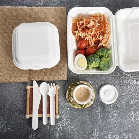 Sugarcane Bagasse Pulp 100 Biodegradable Disposable Take Away Food