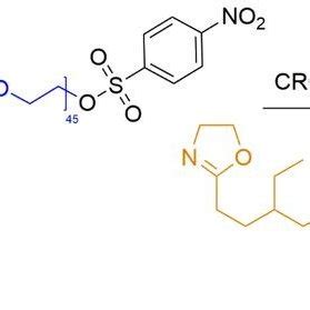 Schematic Representation Of The Synthesis Of Poly Ethylene