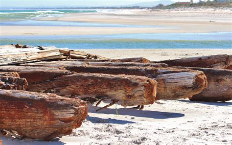 Free Images Beach Driftwood Sea Coast Sand Rock Ocean Wood