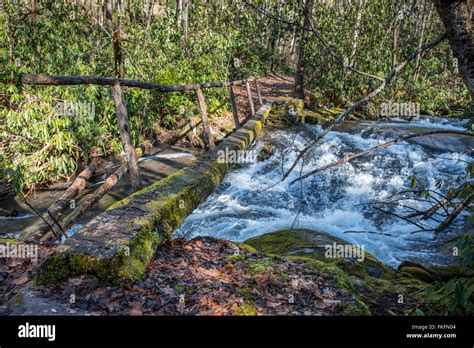 Simple Log Bridge Over Fast Moving Creek In The Great Smoky Mountain