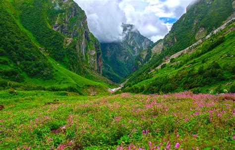 The Amazing World Valley Of Flowers National Park The Land Of