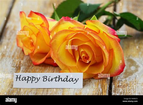 Yellow Roses Bouquet Birthday