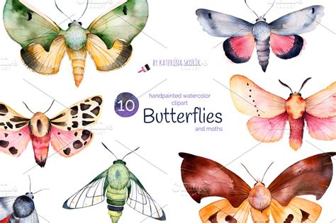 Butterflies and moths ~ Illustrations ~ Creative Market