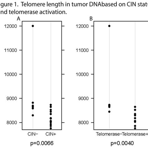 Telomere Length In Tumor Dna Based On Cin Status And Telomerase Download Scientific Diagram