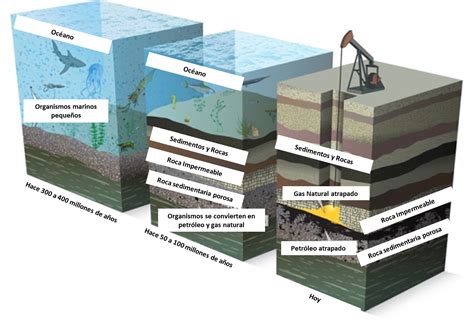 La Formaci N Del Petr Leo Y Otras Curiosidades
