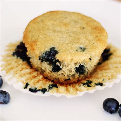 10 Best Diabetic Blueberry Muffins Recipes | Yummly