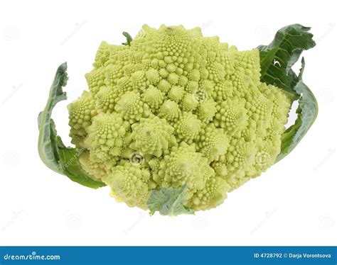 Romanesco Broccoli Close Up The Fractal Vegetable Is Known For It`s