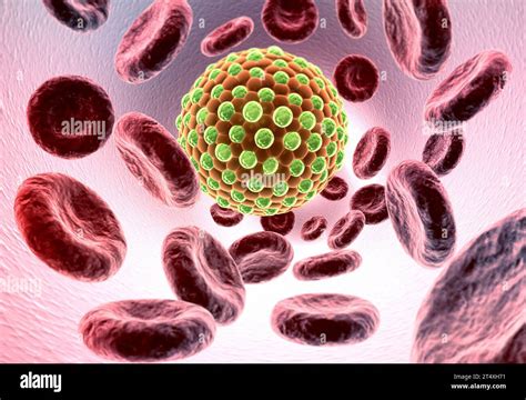 Virus In Bloodstream D Illustration Stock Photo Alamy