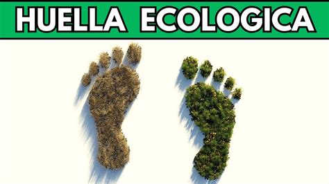 Que Es La Huella Ecologica Definicion Como Reducir Mi Huella