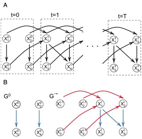 DBN graphical representation. (A) The unfolded structure of the ...