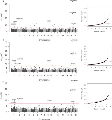 Manhattan And Qq Plots Of The Associations From The Epigenome Wide