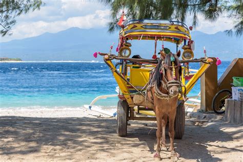 Rejser til Gili Trawangan Vi skræddersyer din drømmerejse til Indonesien