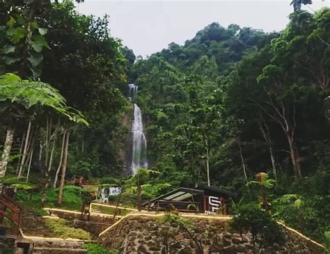 Berlibur Sambil Berburu Raja Buah Yang Gemoy Di Curug Pletuk