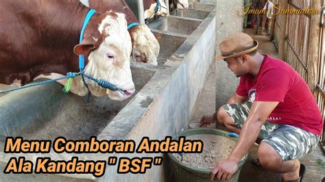 Berbagi Resep Comboran Sapi Ala Kandang Berkah Sammudera Farm YouTube