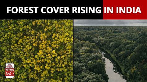 India S Forest Cover Is On The Rise Newsmo YouTube