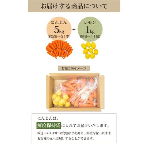 にんじん 人参 無農薬にんじん 野菜セット 人参5kg＋レモン1kg 訳あり ジュース用 人参ジュース ゲルソン療法 野菜 国産