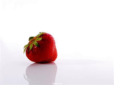 Beautiful Colorful Fruit wallpaper - XciteFun.net