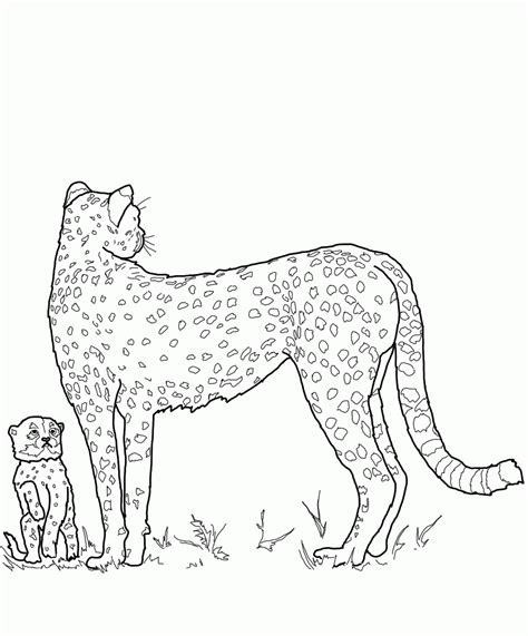 Lion Family Coloring Pages