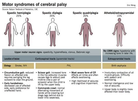 Cerebral Palsy Mcmaster Pathophysiology Review