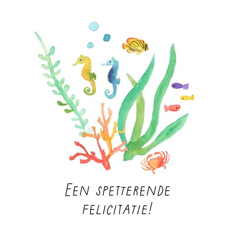 Felicitatiekaart Een Spetterende Felicitatie Hallmark