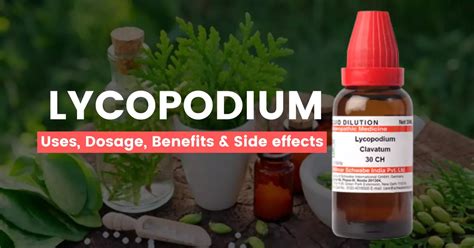 Lycopodium M Uses Benefits Dosage Side Effects