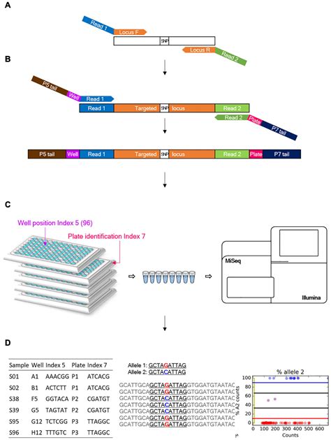 Frontiers Development Of A Panel Of Genotyping In Thousands By Sequencing In Capsicum