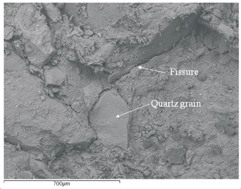 Sem Photo Of Porto Silty Sand After A Saturated Isotropic Compression