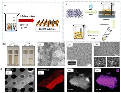 Black Phosphorus And Its Biomedical Applications