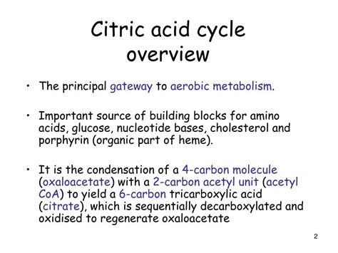 PPT The Tricarboxylic Acid Cycle Krebs Cycle Citric Acid Cycle