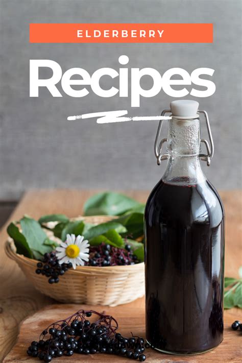 Elderberry Recipes