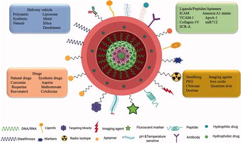 Nanotechnology And Targeted Drug Delivery Schematic Representation Of