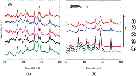 Raman Spectra Of The Cross Section Of Pvc90 Gel Without A And With A