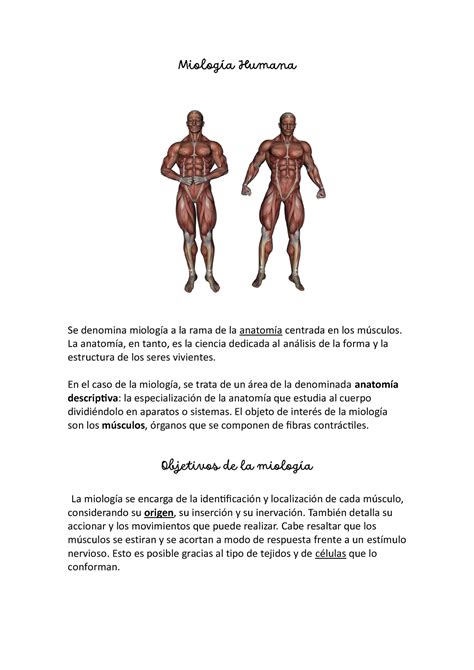 Miolog A Humana Miologia Miolog A Humana Se Denomina Miolog A A La