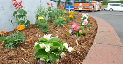 お庭の植物や花壇を守る冬の霜よけ・風対策 アイディアいっぱいお庭ブログ