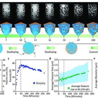 In Situ Synchrotron X Ray Nano Tomography On Ni 20Cr Reacting With