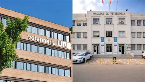 La Uab Y La Ucm Mejores Universidades Para Veterinaria